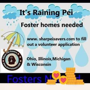 Meet your Posher, Corrine